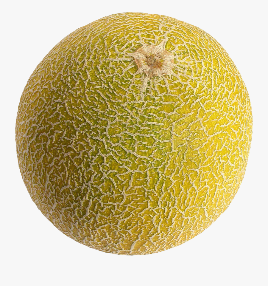 Gourd, And Melon - Melon Png, Transparent Clipart