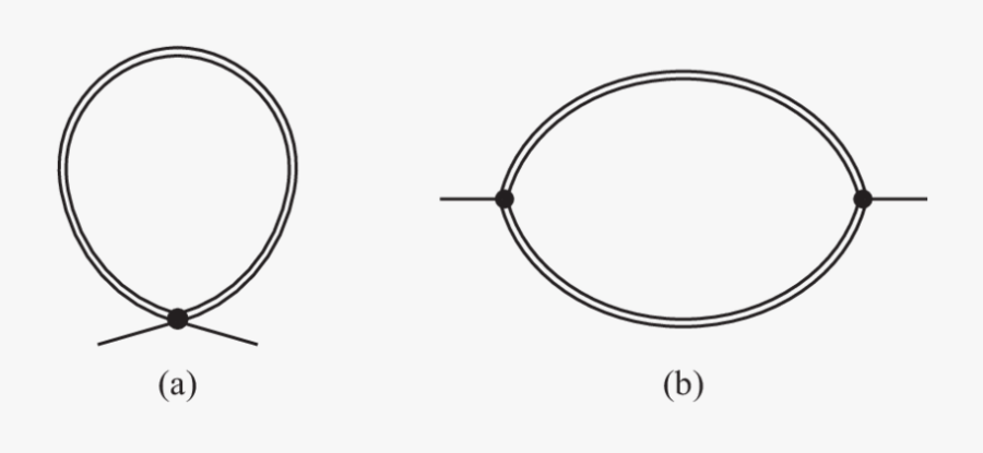 One-loop Contributions To Slow Mode Quadratic Term - American Gastroenterological Association, Transparent Clipart