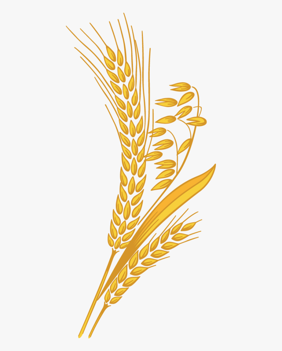 Wheat Png Clipart, Transparent Clipart