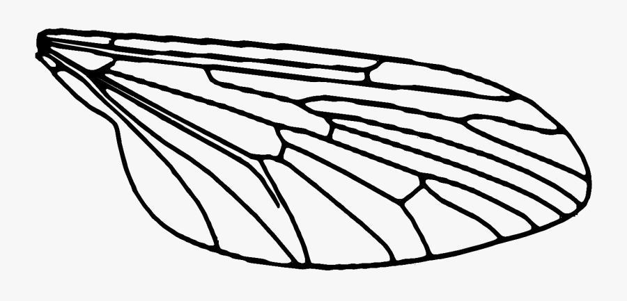 Halloween Mask By Retrofluffyboy - Fly Wings Png, Transparent Clipart