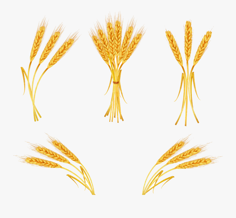 Wheat Clip Art Freeimagesh Clipart Transparent Png - Wheat, Transparent Clipart