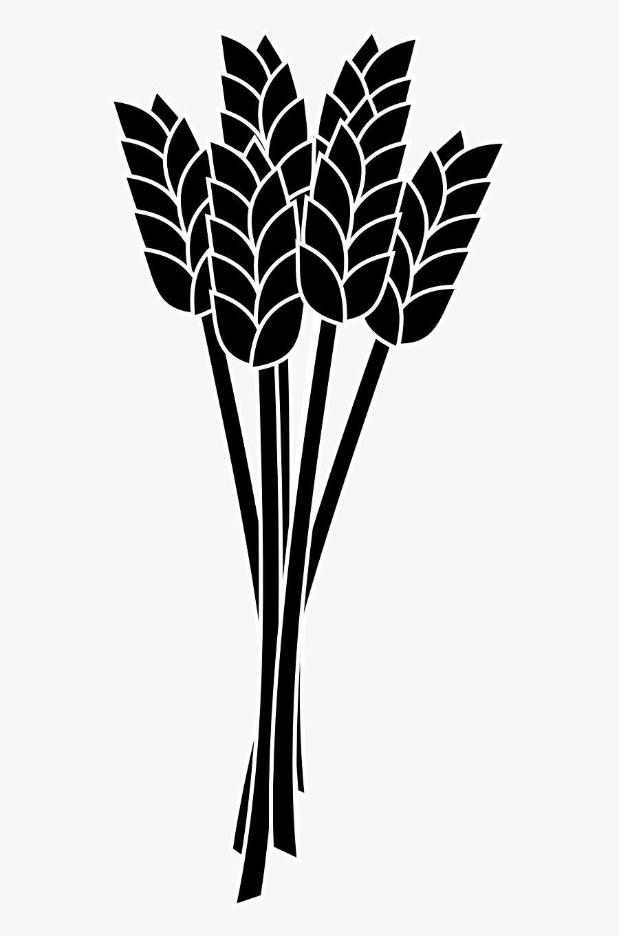Wheat Spike Bunch Grain - Soybean Clipart Black And White, Transparent Clipart