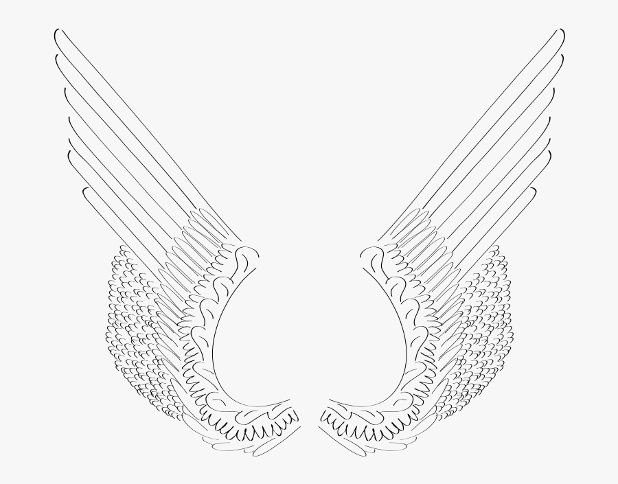 Wings - Sketch, Transparent Clipart