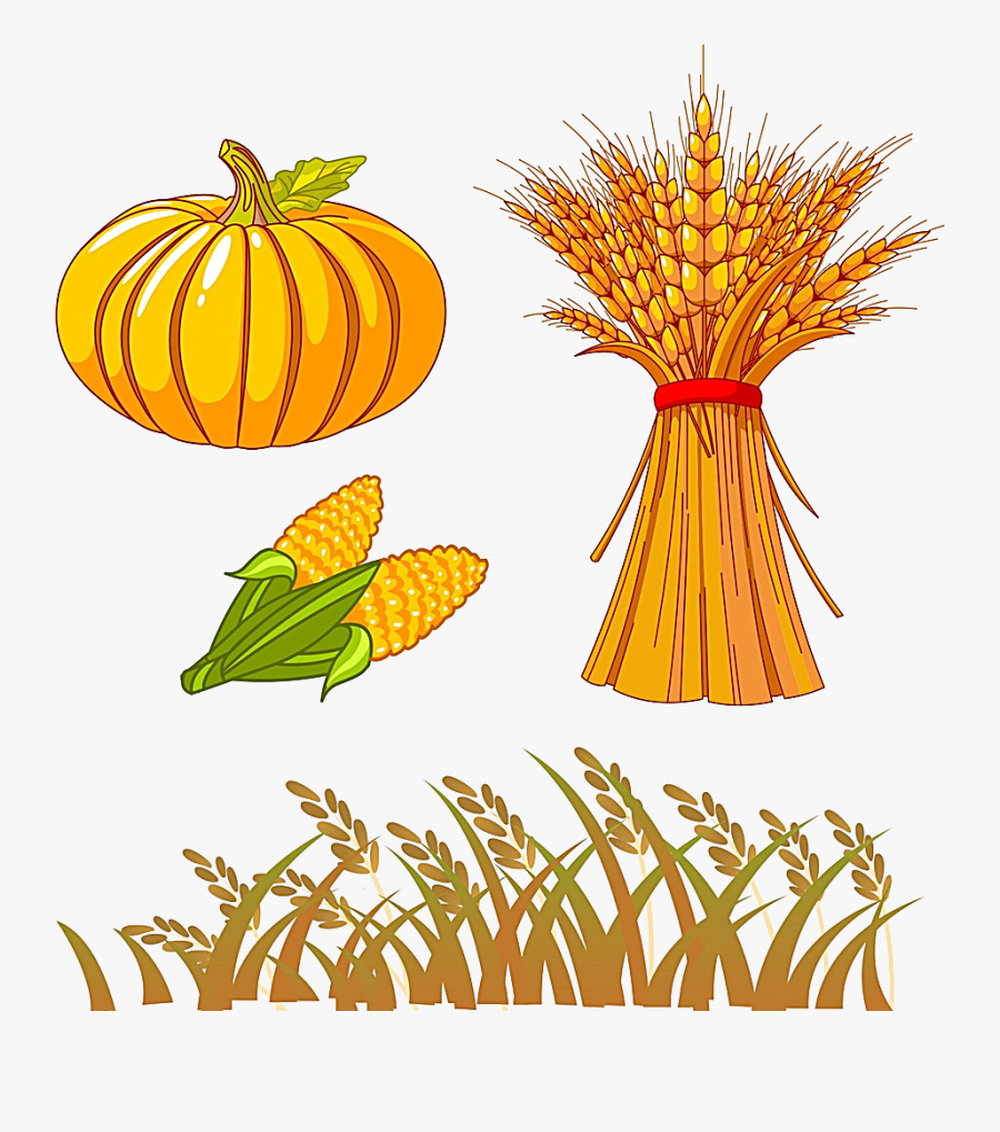 Autumn Drawing Clip Art - Fall Harvest Clip Art, Transparent Clipart