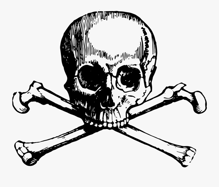 Skull And Bones Skull And Crossbones Clip Art - Skull N Bones Png, Transparent Clipart