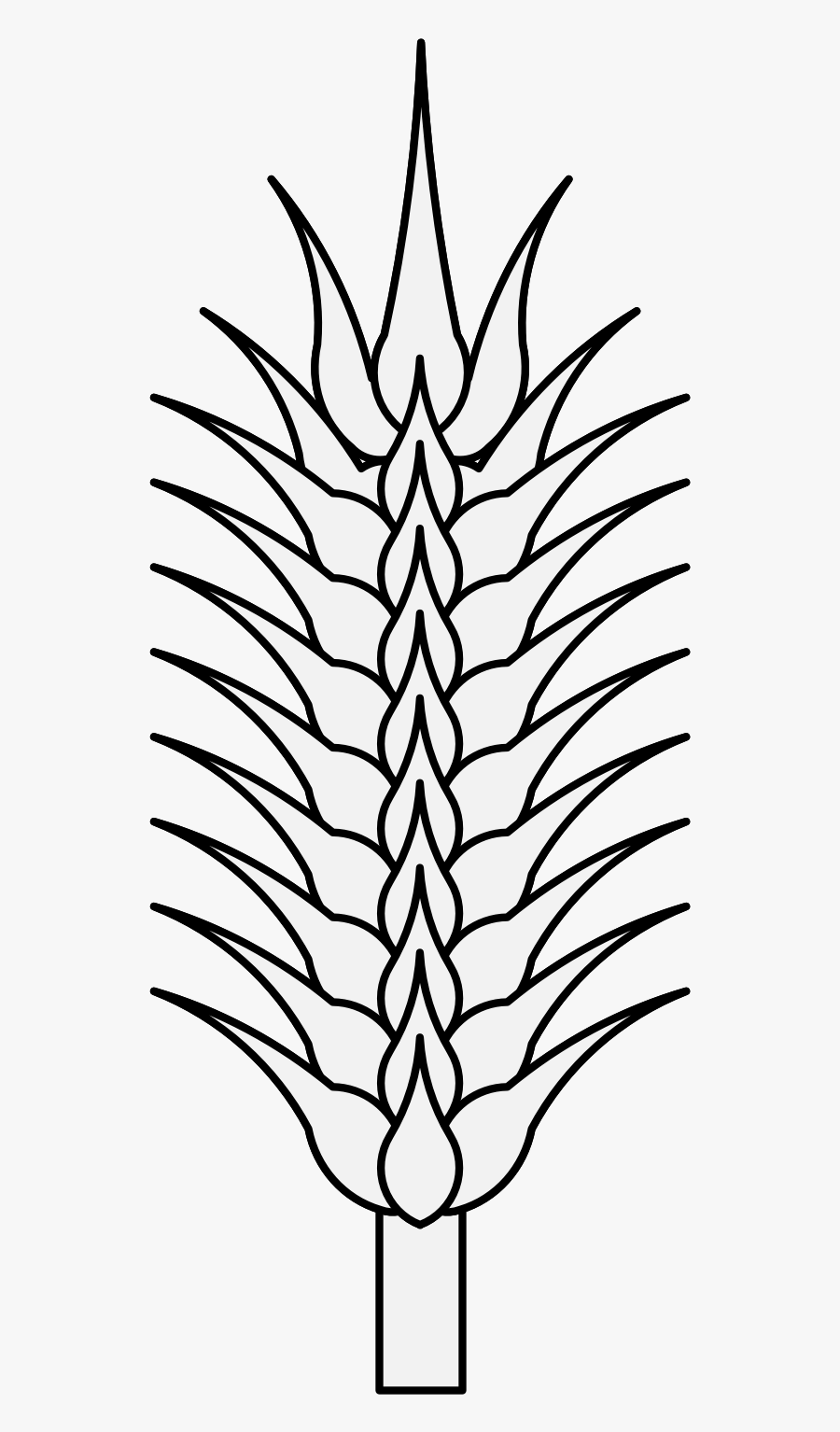 Sketch, Transparent Clipart