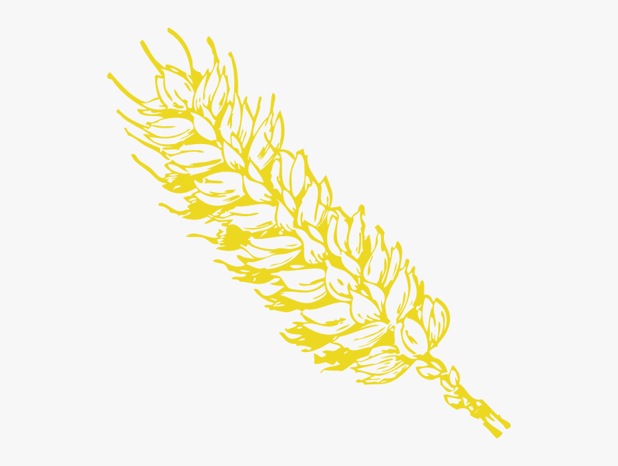 Illustration, Transparent Clipart