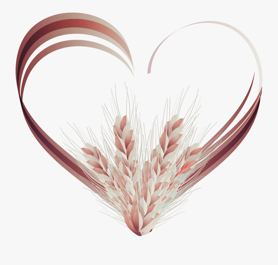 Vector Wheat Cluster Svg Library Download - Transparent Background Love In Vector Png, Transparent Clipart