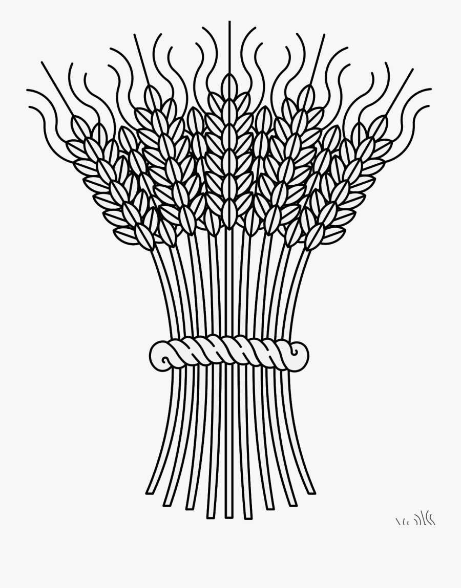 Line Art, Transparent Clipart