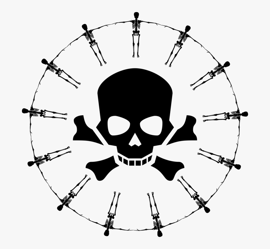 Head,angle,symmetry - Skeleton Circle, Transparent Clipart