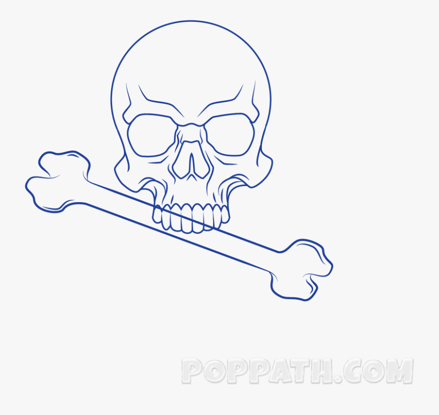 Skull, Transparent Clipart