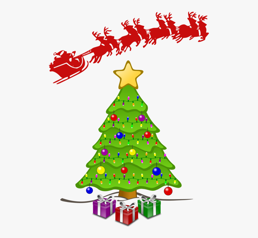 Fir,pine Family,christmas Decoration, Transparent Clipart