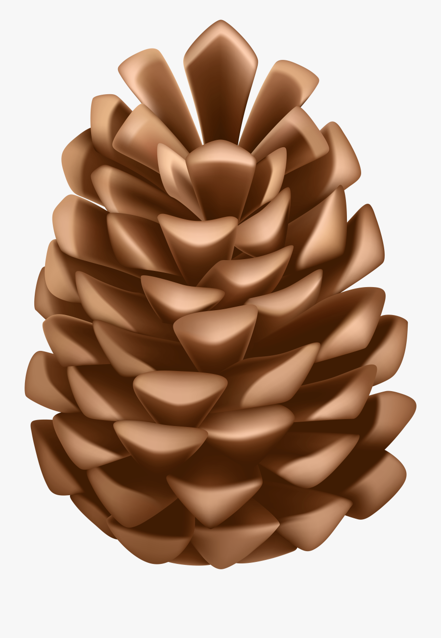 Download Pine Cone Png Clipart Png Photo Western- - Pine Cones Clip Art, Transparent Clipart