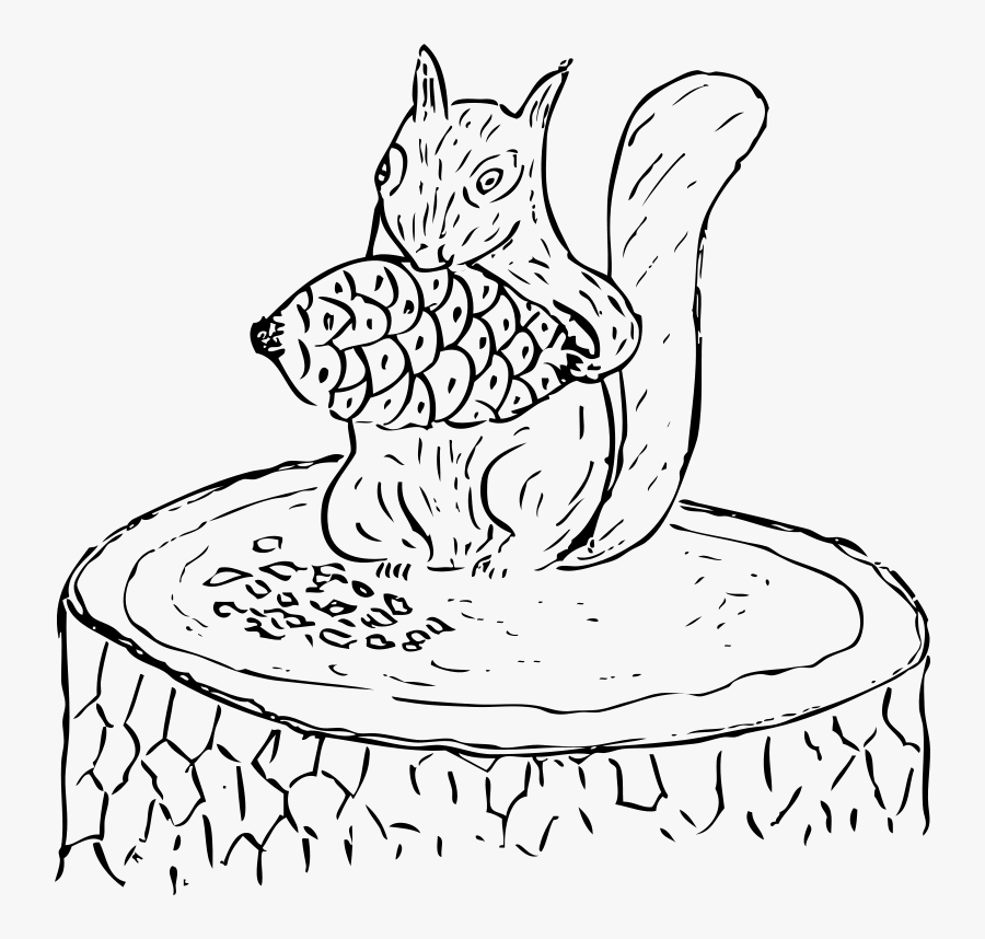 Squirrel Eating Pine Cone - Pine Cone Clip Art, Transparent Clipart