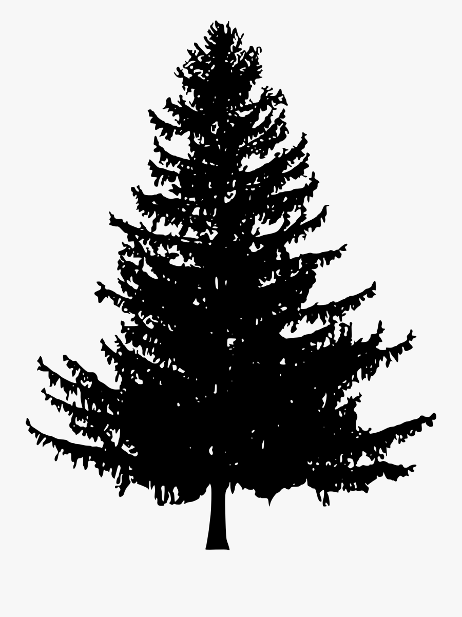 Pine Tree Line Drawing Pine Tree Silhouette Png , Free Transparent