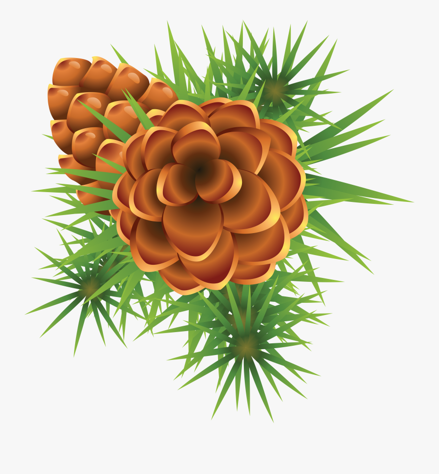 Pinecone Clipart Greenery - Christmas Mistletoe, Transparent Clipart