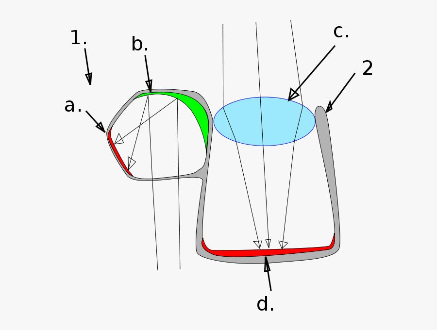 A Viewed Object Is, Transparent Clipart