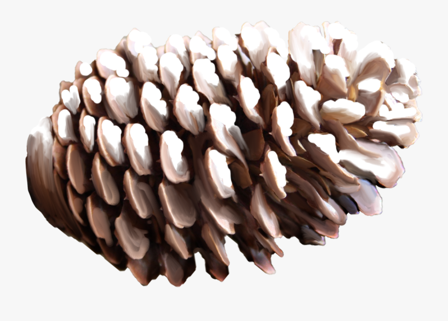 Pine Cone Png - Шишка Новогодняя Пнг, Transparent Clipart
