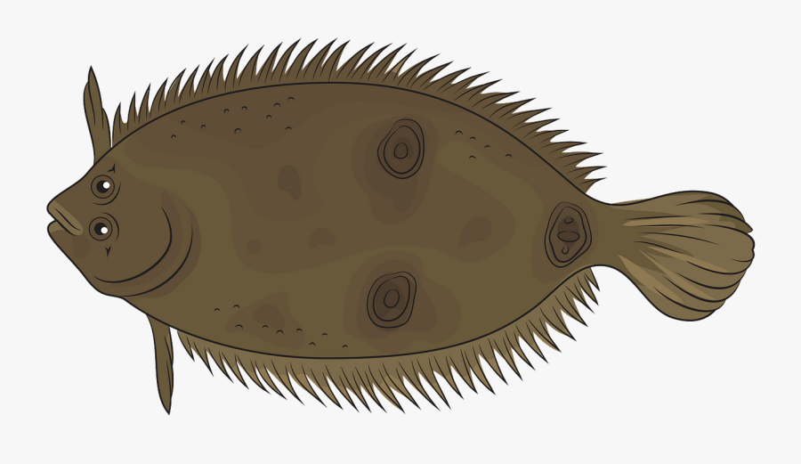 Sole, Transparent Clipart