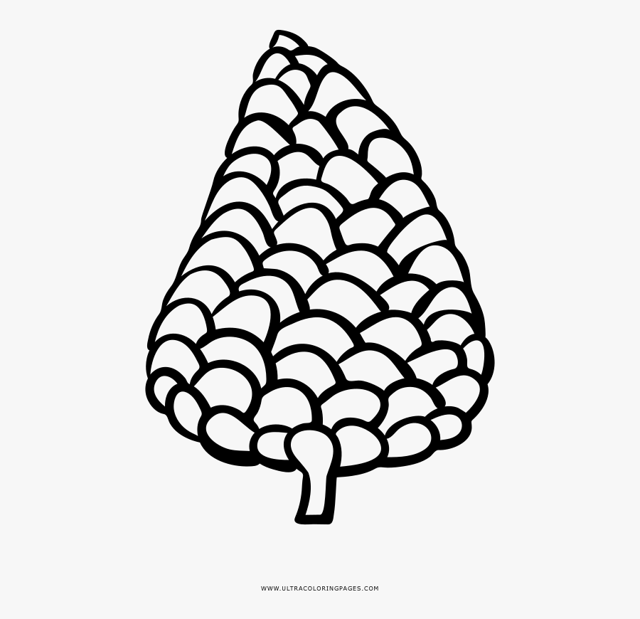 Pine Cone Coloring Page - Line Art, Transparent Clipart