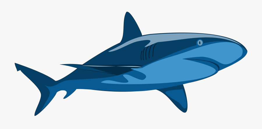 Clipart - Vector Clip Art Shark, Transparent Clipart