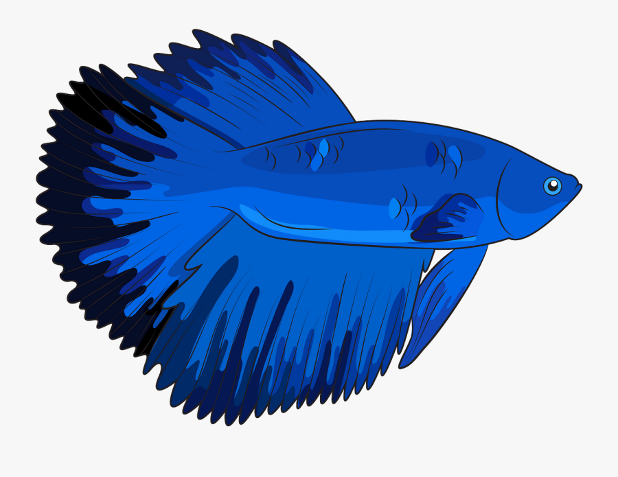 Saw Blades, Transparent Clipart