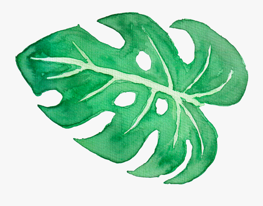 Tropical Clipart Tropical Leave - Watercolour Palm Leaves Png, Transparent Clipart