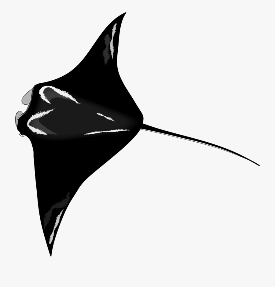 Sharks And Rays Icon, Transparent Clipart