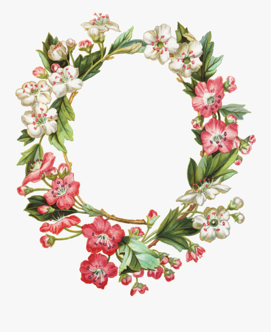 Apple Blossom Oval Wreath Graphicsfairy Png - Apple Flower Frame, Transparent Clipart