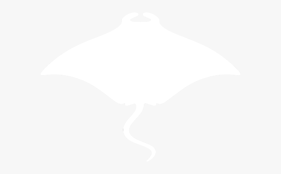 Mantaray Freetoedit - White Silhouette Manta Ray, Transparent Clipart