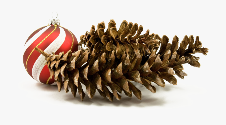 Holiday Pine Cone Png Hd Quality - Christmas Elements Png Real, Transparent Clipart