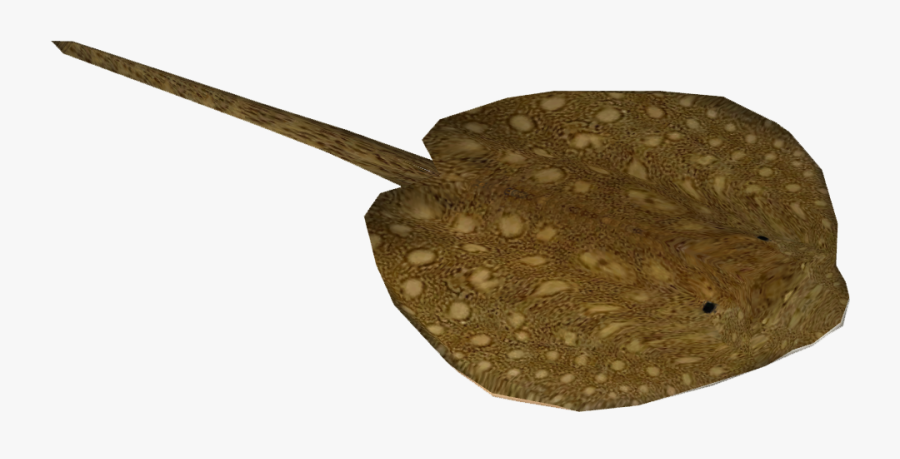 Stingray .png, Transparent Clipart