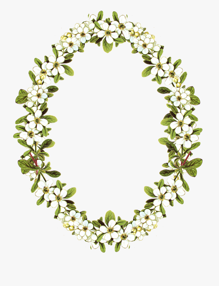 Flower Vintage Frame Png, Transparent Clipart