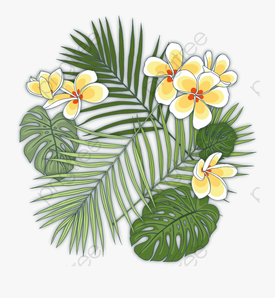Tropical Plants - Tropical Plants Plants Png, Transparent Clipart