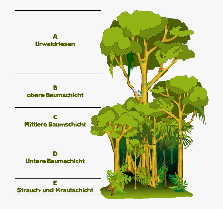 Transparent Pflanzen Clipart - Stockwerkbau, Transparent Clipart
