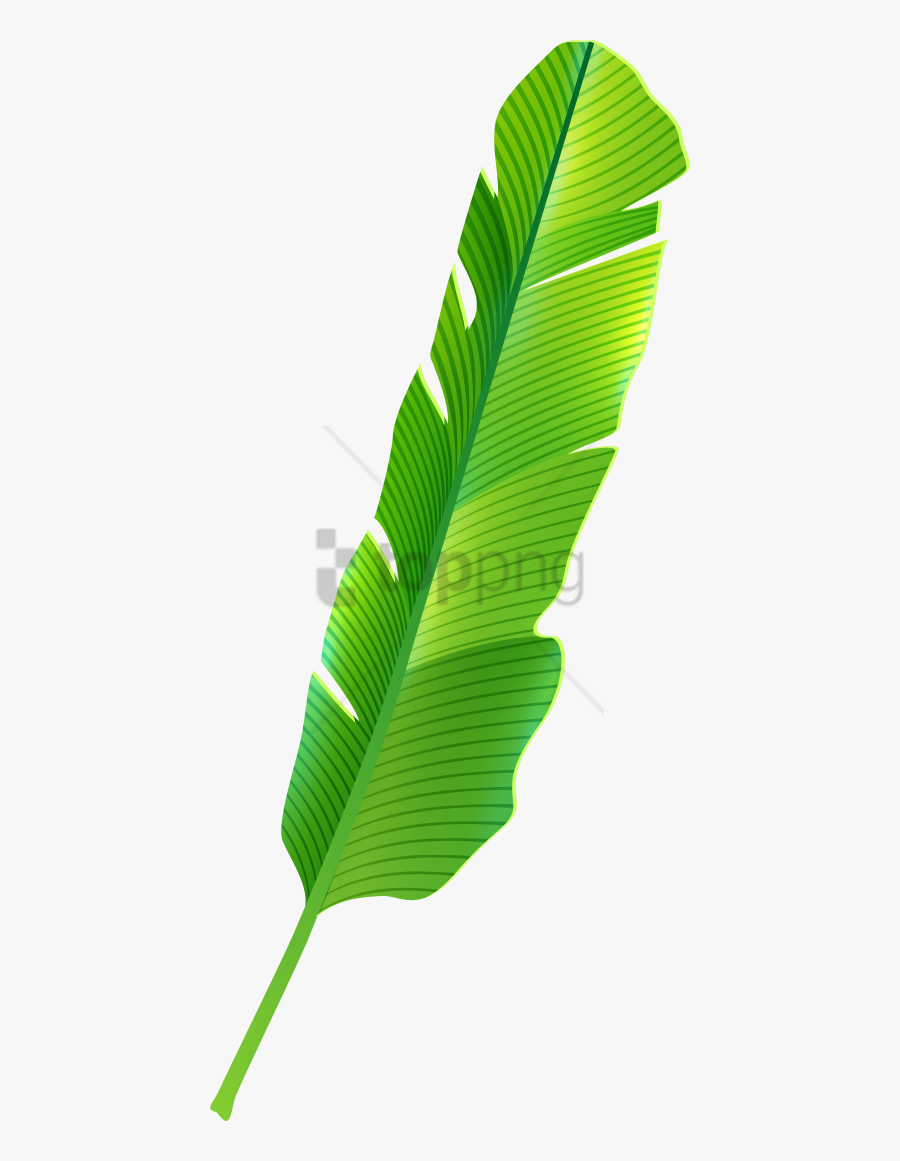 Transparent Leaf Crown Png - Banana Leaves Png Transparent Background, Transparent Clipart