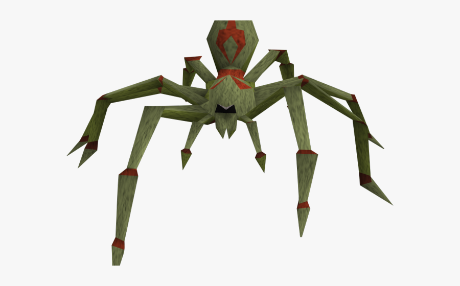 Transparent Tarantula Png - Spider , Free Transparent Clipart - ClipartKey