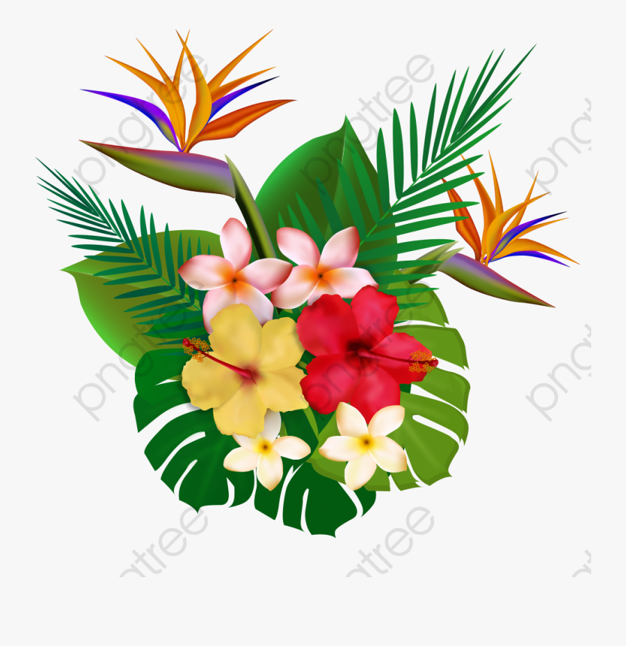 Tropical Plants, Plants Clipart, Flowers Png Transparent - Plantas Flores Tropicales Png, Transparent Clipart