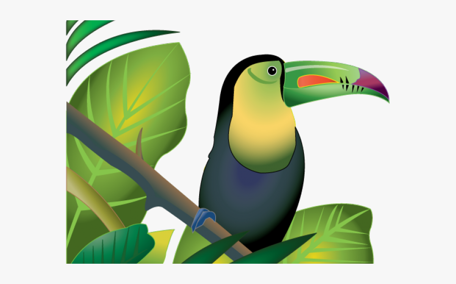 Rainforest Clip Art Png, Transparent Clipart