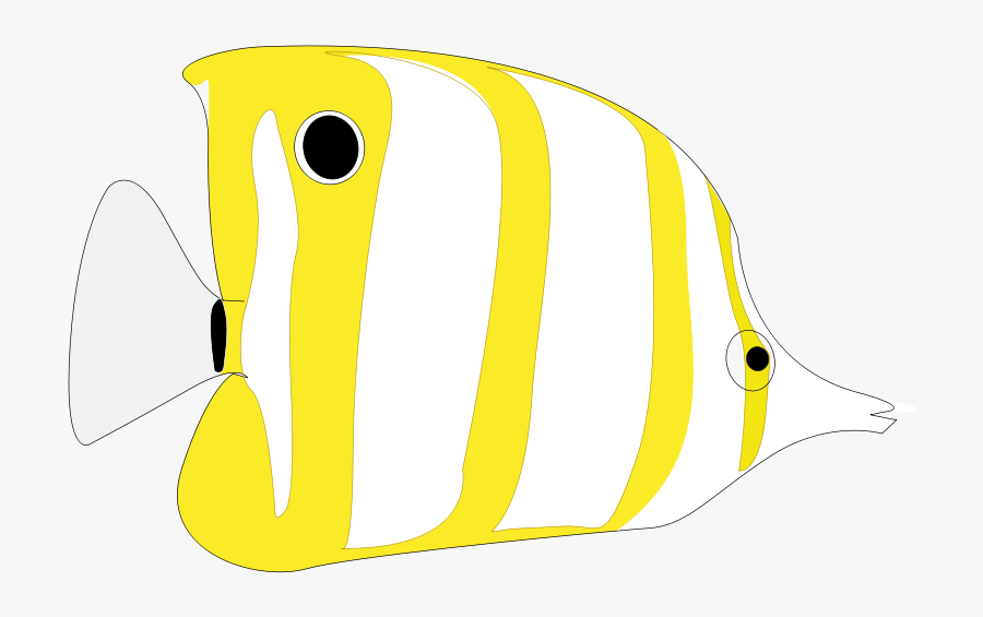 Tropical Fish, Transparent Clipart