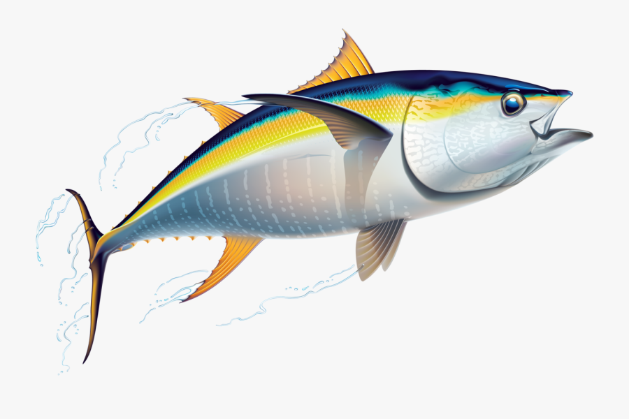 Tuna Clipart, Transparent Clipart