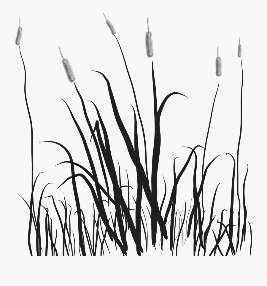 Transparent Grass Clipart Black And White - Marsh Clip Art Png, Transparent Clipart