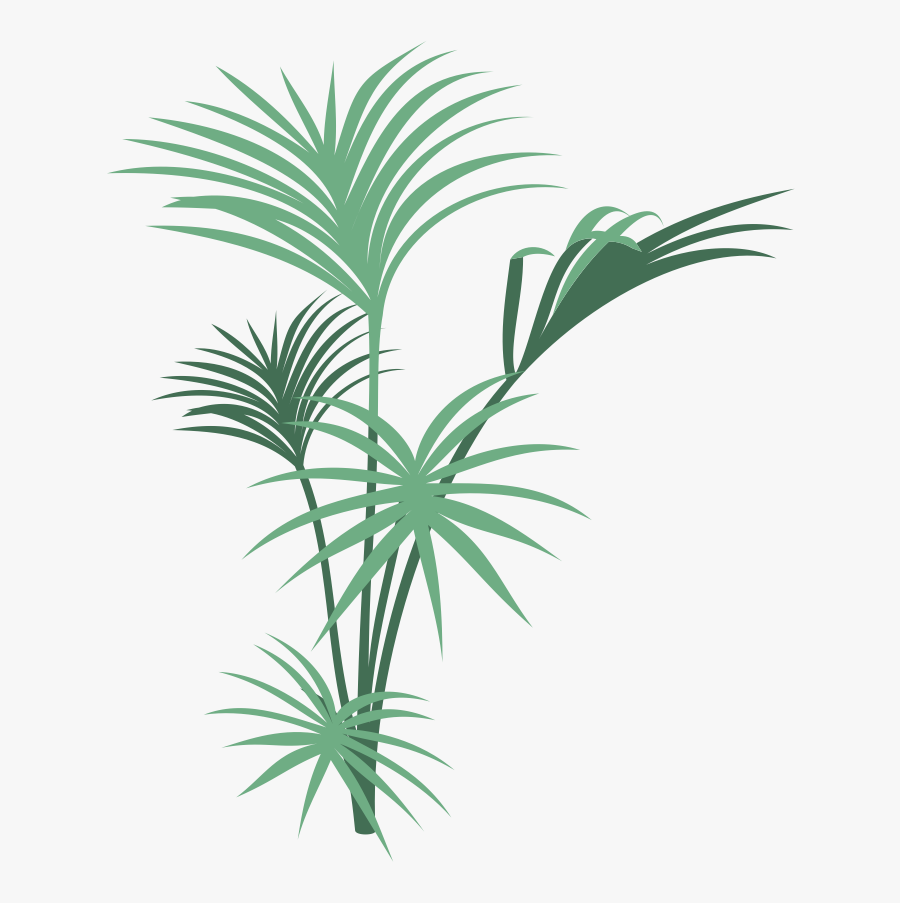 Transparent Tropical Rainforest Clipart - Jungle Plants Png Transparent, Transparent Clipart