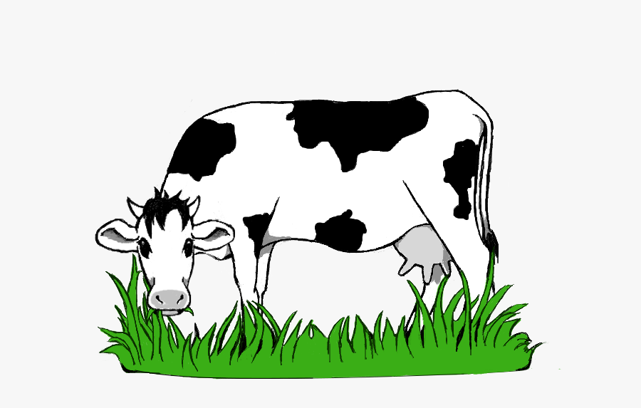 Black And White Stock Collection Of Grazing High Quality - Cow Eating Grass Png, Transparent Clipart
