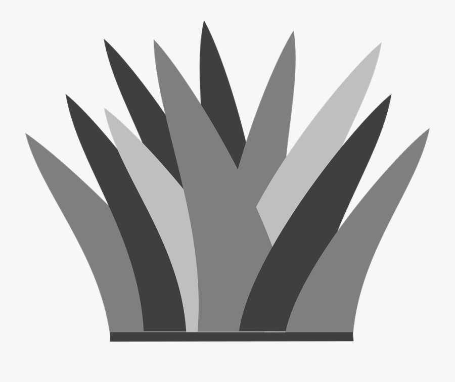 Grass, Bunch, Gray, Shades, Nature - Plants Animated Png, Transparent Clipart