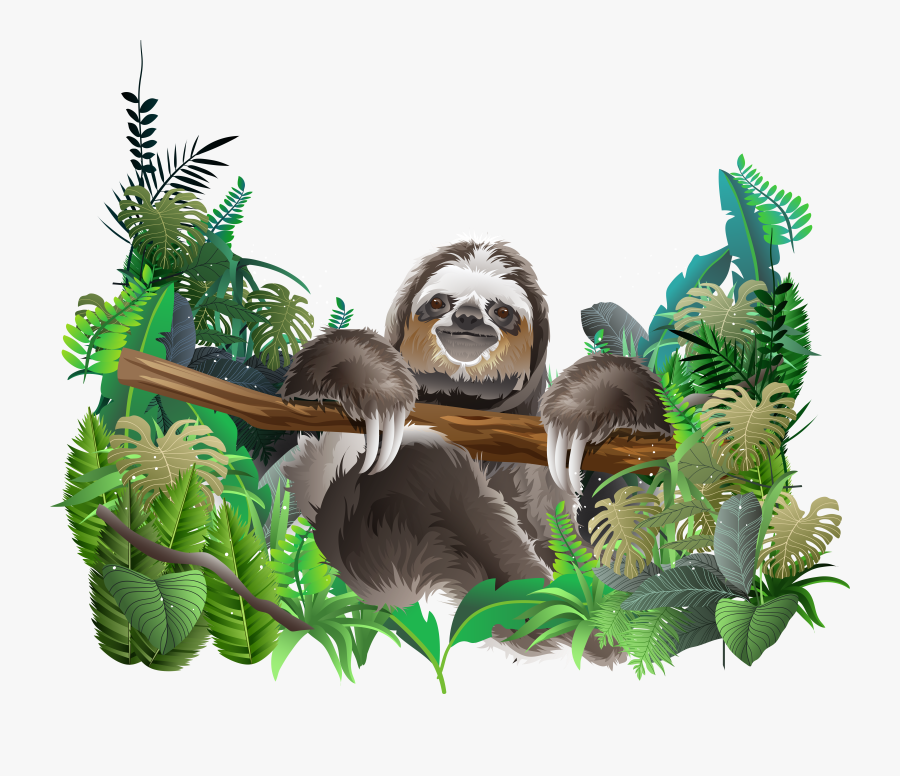Clipart Royalty Free Library Sloth Euclidean Rainforest - Rainforest Animals Transparent Background, Transparent Clipart
