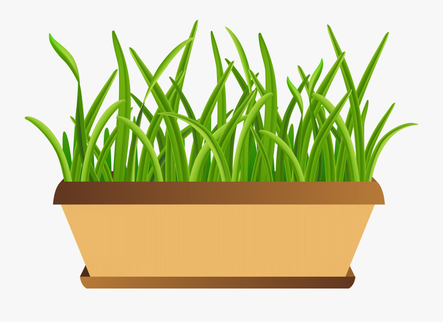 Flowerpot With Grass Transparent Png Clip Art Imageu200b - Flowers In A Pot Clipart Png, Transparent Clipart
