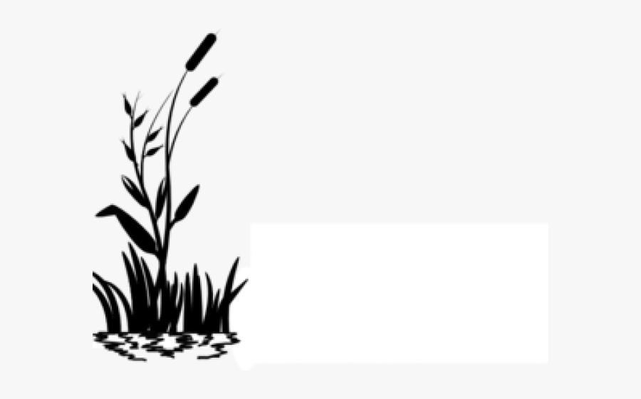 Swamp Clipart Dark - Cattails Black And White, Transparent Clipart