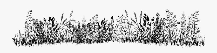 Old World Naturals All Natural Craft Delicatessen Troy, - Illustration, Transparent Clipart