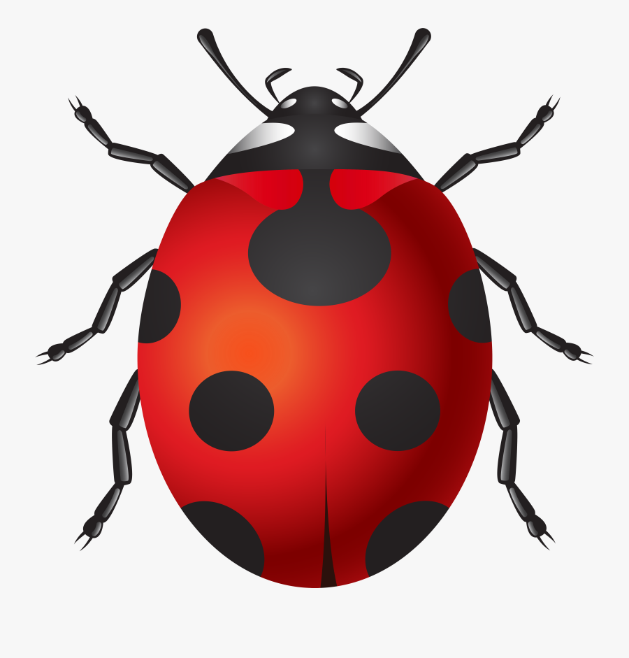 Ladybug Png Clip Art, Transparent Clipart